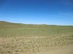 36906CIMG0691.JPG