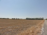 35007DSC01909.JPG