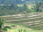 30802CIMG0648.JPG