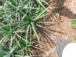 20136P1010987.JPG