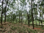 52946CIMG3941_调整大小.JPG