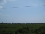 15901IMG_4449.JPG
