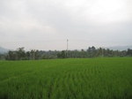 15358IMG_4202.JPG