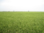14323IMG_4664.JPG