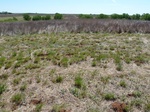 29245BUTL20110428E.JPG