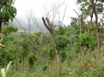 53346CIMG6633.JPG