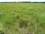29194HUGO20110517GPS.JPG