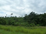 20280P1020135.JPG