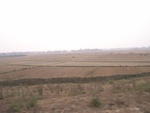 4667RIMG0095.JPG