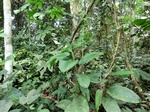 51211CIMG0806.JPG