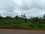 19940P1010790.JPG