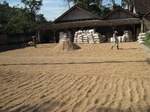 13942IMG_4232.JPG