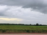 56044CIMG6733.JPG