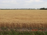 29602CIMG0870.JPG