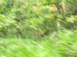 48712CIMG5049.JPG