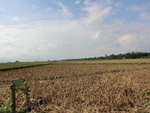 31260CIMG1122.JPG