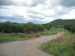 33544IMG_5810.JPG