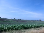 56132CIMG6834.JPG