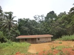 49000CIMG5337.JPG