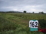 125970162d-rainfed-hilly-agriculture-millet-dominant-pomogranate-orchard.gif