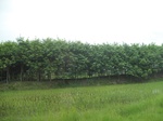 33328IMG_5664.JPG