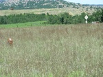 30103CIMG0145.JPG