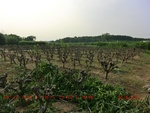 38868CIMG4349.gps.jpg