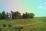 2024-06-17_21-12-30_69598886-15D9-457B-A344-D49831DE40CD.jpeg