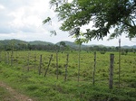 32010IMG_5543.JPG