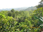 31821IMG_5422.JPG