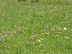 21570P1010394.JPG