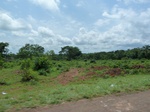 21050P1020922.JPG