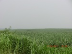 33072CIMG2307.JPG