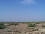 1786226042008(41).JPG