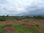19738P1010587.JPG