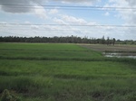 33255IMG_5585.JPG