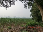 33111CIMG2346.JPG