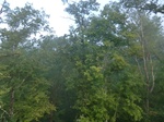 57414CIMG3685.JPG