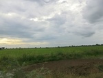 56034CIMG6723.JPG