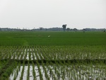 31593CIMG1459.JPG