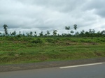 25496P1020341.JPG