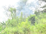 49448CIMG5785.JPG