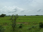 18781P1000619.JPG