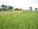 14562IMG_4928.JPG