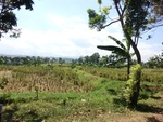 30268CIMG1802.JPG
