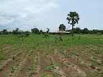 18797P1000635.JPG