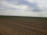 36810CIMG0580.JPG
