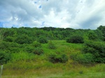 57144CIMG2644.JPG