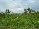 18323P1000159.JPG