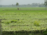 21700DSC00240.JPG